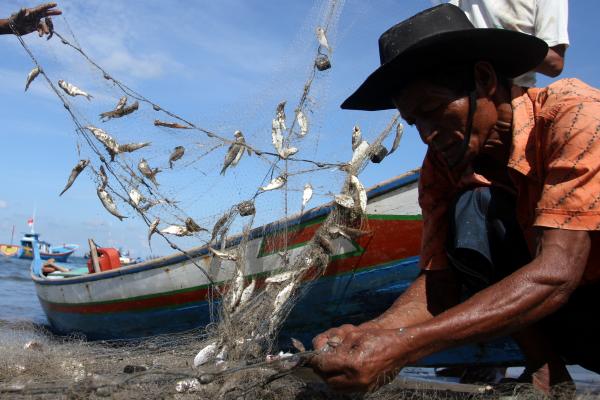 pengertian-dan-manfaat-asuransi-untuk-nelayan