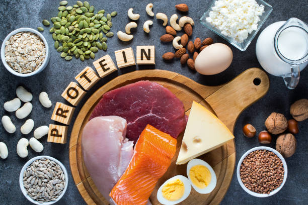 makanan-tinggi-protein:-kunci-kesehatan-dan-kekuatan-tubuh