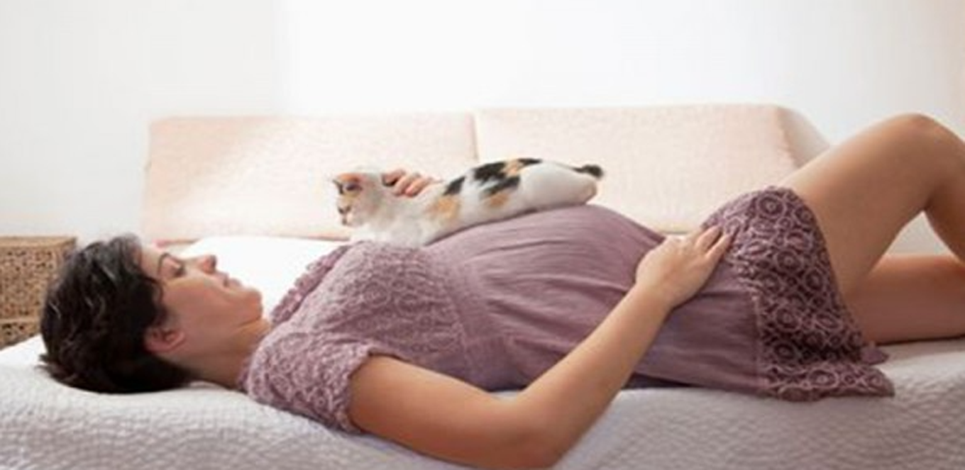 Hindari hewan peliharaan selama hamil