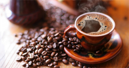asuransi-kebun-kopi,-komoditas-kopi-indonesia