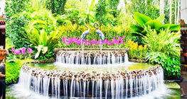 bersantai-di-singapore-botanic-gardens-