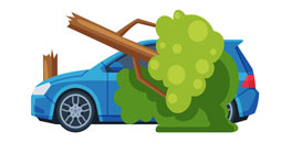 Asuransi Mobil Tidak Melindungi Risiko Pohon Tumbang, Coba Cek Lagi!