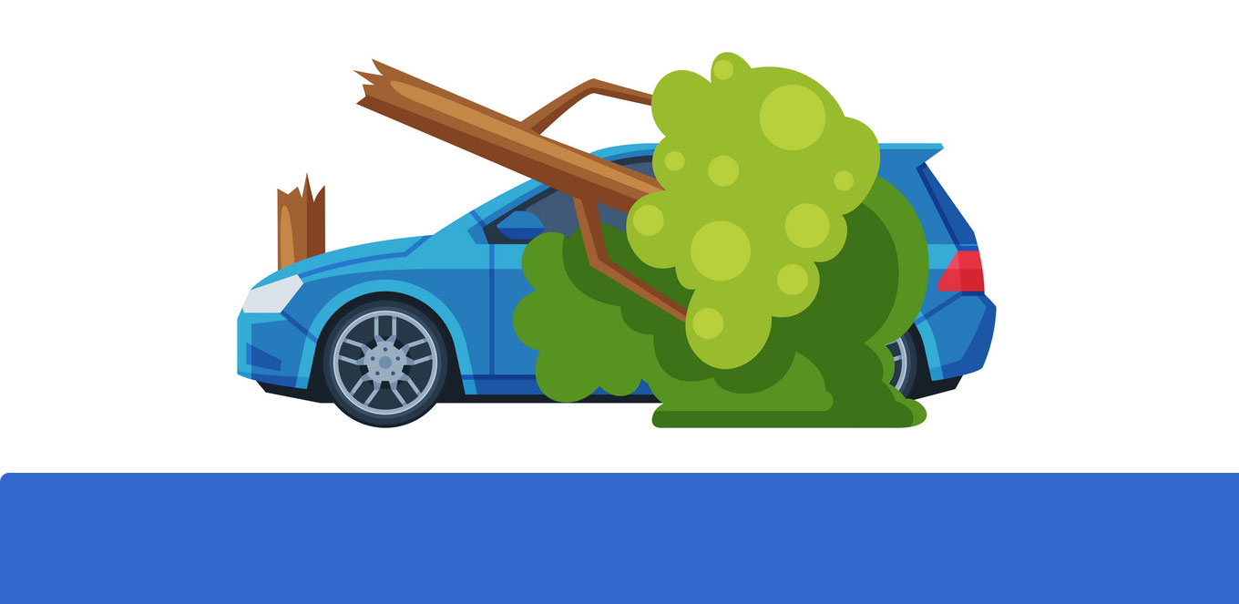 Asuransi Mobil Tidak Melindungi Risiko Pohon Tumbang, Coba Cek Lagi!