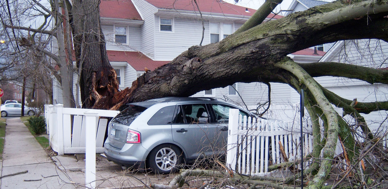 Pohon Tetangga Tumbang Menimpa Mobil Kesayangan. Yang Bayarin Ganti Rugi, Siapa?