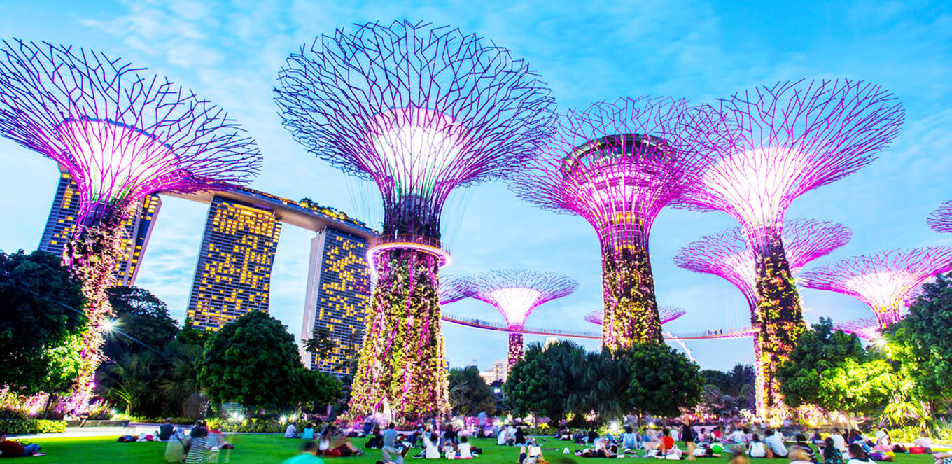Singapore Travel: Berkeliling Pecinan dan Jelajahi Cagar Alam Bukit Timah