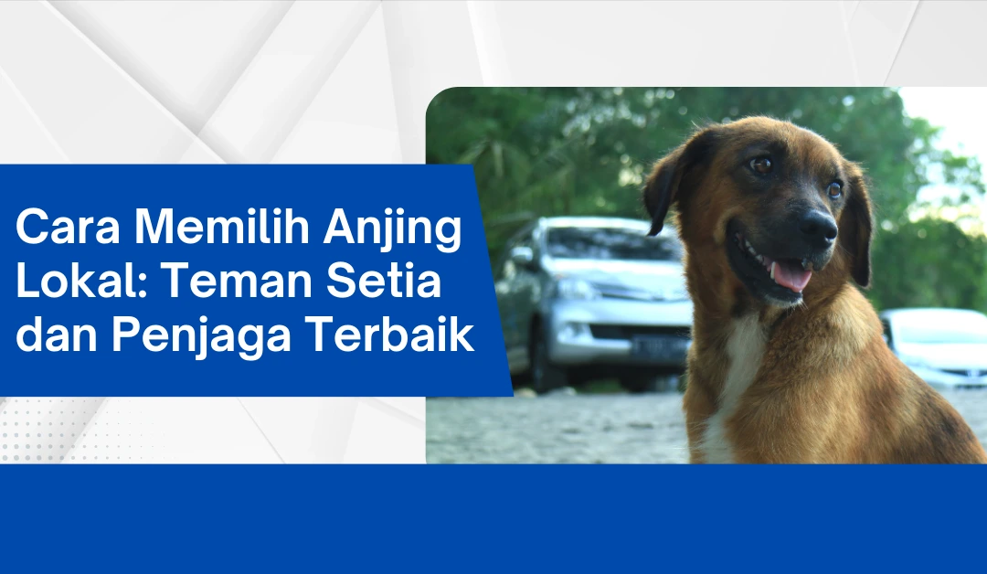 Cara Memilih Anjing Lokal: Teman Setia dan Penjaga Terbaik