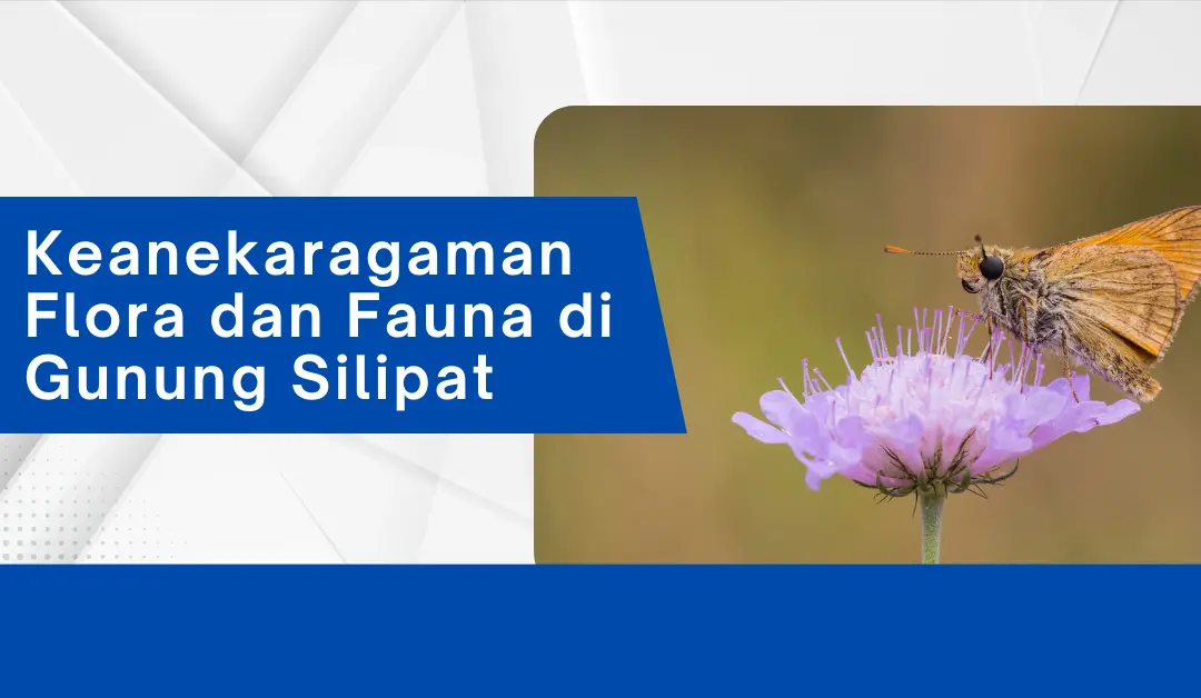 keanekaragaman-flora-dan-fauna-di-gunung-silipat