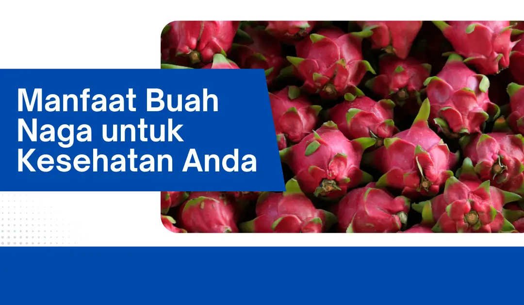 manfaat-buah-naga-untuk-kesehatan-anda