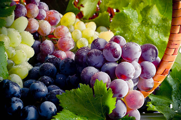 6 Manfaat Anggur untuk Kesehatan 