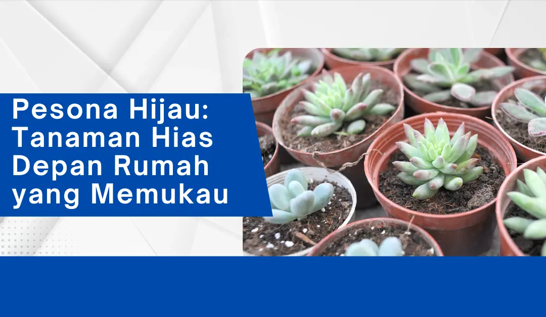 pesona-hijau:-tanaman-hias-depan-rumah-yang-memukau