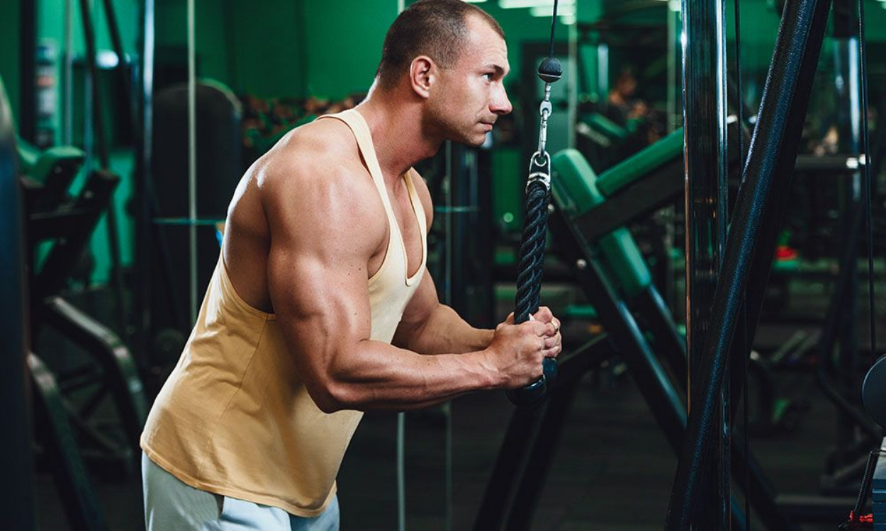2 Bilah Triceps